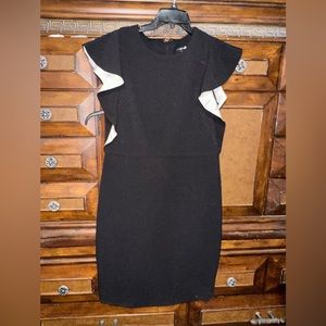 Ann Taylor Black & White Women’s Size 10 Dress Knee length